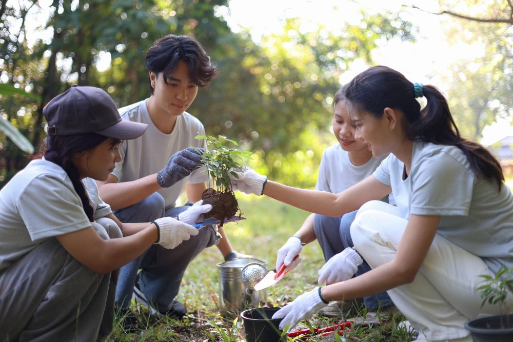 Youth and Environment - Lecture 15